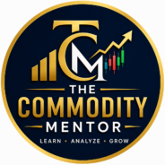 thecommoditymentor.in